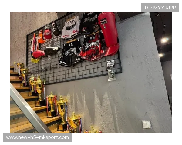 UFC训练营优化力量与敏捷兼顾模块，选手反应更快速