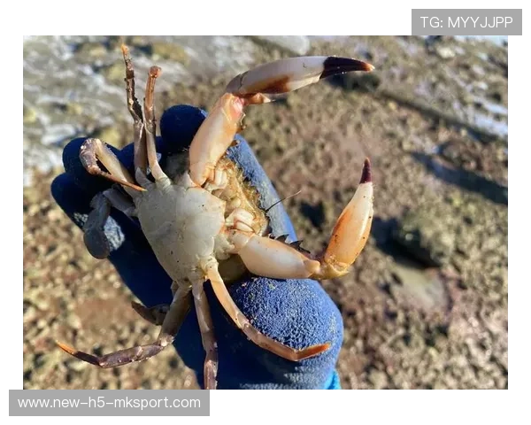 凌晨赶海，惠州市民满载而归！，惠州赶海几点去比较好