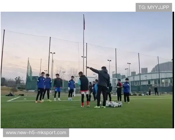 青训是否推动运动员社交沟通能力的系统化培养，青训训练内容